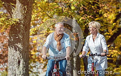 Seniors on bicycles having tour in park Stock Photo