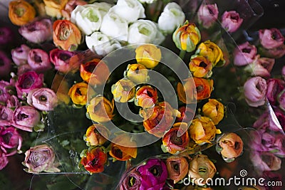 Sensation look and smell color l roses bouquet Stock Photo