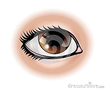 Eye Body Part Vector Illustration