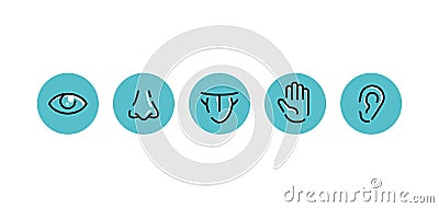 5 senses - touch, sight, hearing, smell and taste Vector Illustration