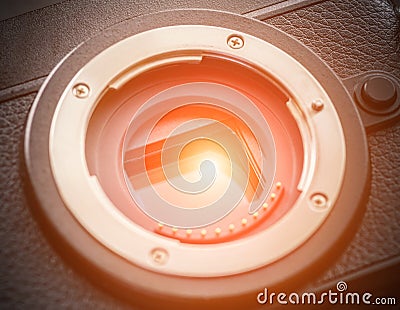 Sensor of a mirrorless camera. Stock Photo