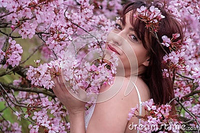 Sensual, seductive, portrait of a sexy, young, innocent, brunette woman in white dress in pink tree blossoms in april spring Stock Photo