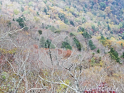 Seoraksan National Park in autumn, Gangwon, South Korea Stock Photo