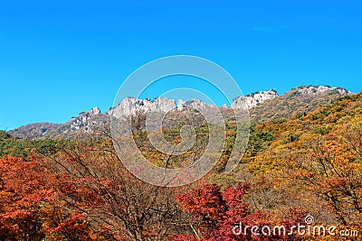 Seoraksan National Park in autumn Stock Photo