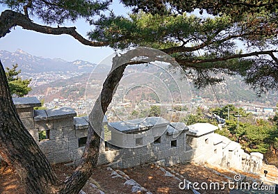 City fortress wall, pine trees, mountain view. Inwangsan Mountain Editorial Stock Photo