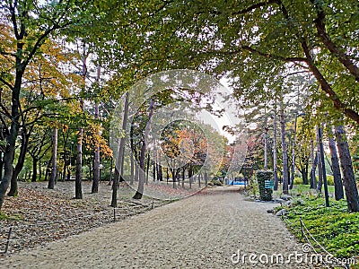 SEOUL, SOUTH KOREA - OCTOBER 27, 2022 Small dirt walkway and Fall maple leaves foliage in orange and green colour in deep forest Editorial Stock Photo