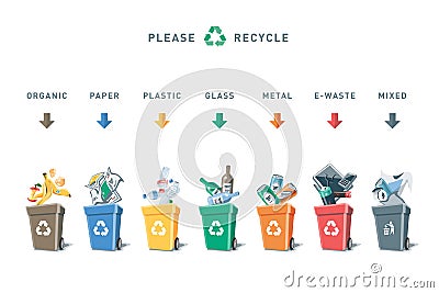 Separation Recycling Bins with Trash Vector Illustration