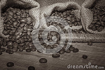 Sepia. Coffee beans. Stock Photo