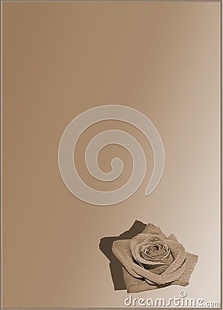 Sepia rose. Stock Photo