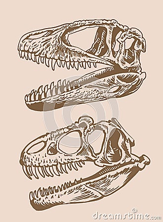 Sepia set of skulls of dinosaurs, vintage illustration Vector Illustration