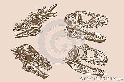 Sepia set of skulls of dinosaurs, vintage illustration Vector Illustration