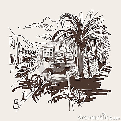 Sepia sketch drawing of Petrovac Montenegro street with palm Vector Illustration