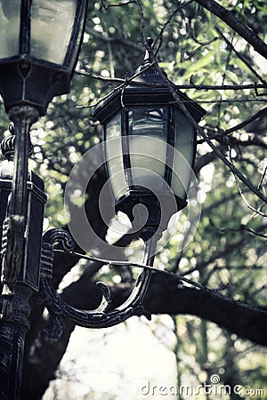 Sepia style photo of antique street lantern among tree branches. vintage filtered image Stock Photo
