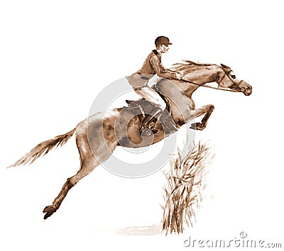 Sepia watercolor rider and horse, jumping a hurdle in forest on white. Cartoon Illustration