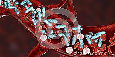 Sepsis, bacteria in blood Cartoon Illustration