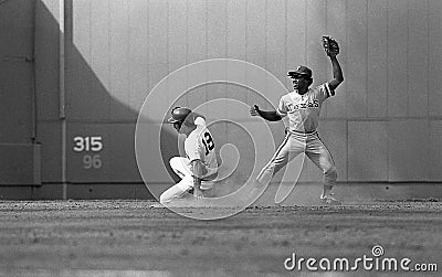 Fred Lynn, Boston Red Sox Editorial Stock Photo