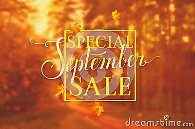 September sale. Vector banner. Vector Illustration