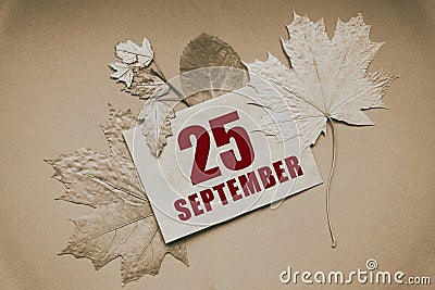 september 25. 25th day of month, calendar date.Envelope with the date and month, surrounded by autumn leaves on brown Stock Photo