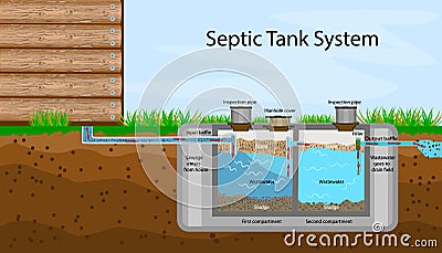 Septic Tank diagram. Septic system and drain field scheme. Vector Illustration