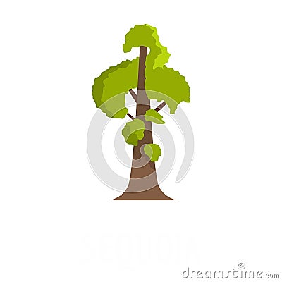 Sequoia icon, flat style Cartoon Illustration