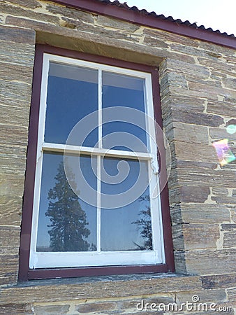 Sequoia tree reflected in historic stone cottage window, New Zealand Stock Photo