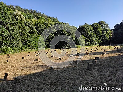 Serbia monastery Koporin nearby harvested field Stock Photo