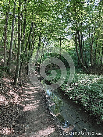 Serbia monastery Koporin nearby hiking trails Stock Photo