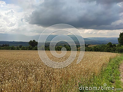 Serbia Sokobanja region cropland on hilly terrain Stock Photo