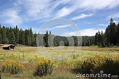 Arnold Meadow of the High Sierras in California Stock Photo