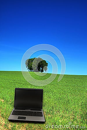 Serene grassland and a notebook Stock Photo