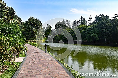 Serene Lakeside Pathway at Singapore Botanic Gardens Stock Photo