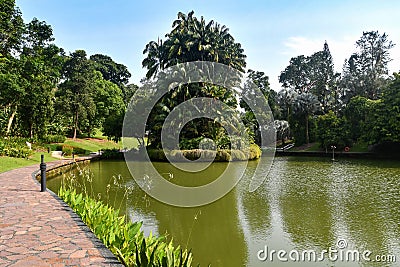 Serene Lakeside Pathway at Singapore Botanic Gardens Stock Photo