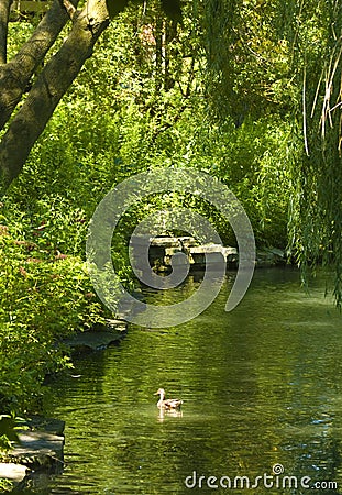 Serene landscape Stock Photo