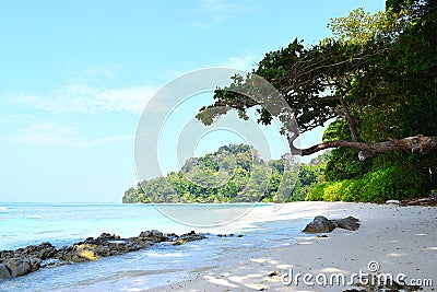 Serene Landscape with Stony Beach, Trees, Sky and Water - Neil`s Cove, Radhanagar Beach, Havelock Island, Andaman Nicobar, India Stock Photo