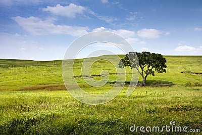 Serene nature landscape of the midwest Kansas Tall Stock Photo