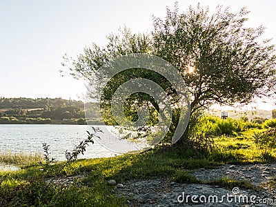 Serene panorama of the calm waters of Panguipulli Lake, from the village of Panguipulli. Patagonian area, Chile Stock Photo