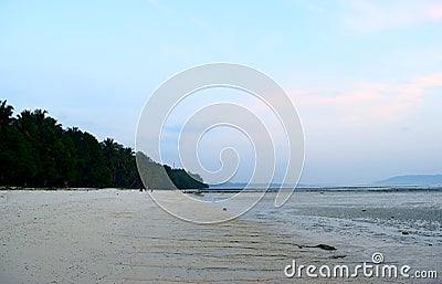 Serene Relaxing Sandy Beach Landscape with Lush Green Palm Trees with Sky at Dawn - Vijaynagar Beach, Havelock, Andaman Islands Stock Photo