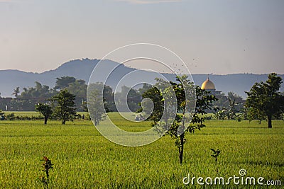 A Serene Rural Landscape of Farms Stock Photo