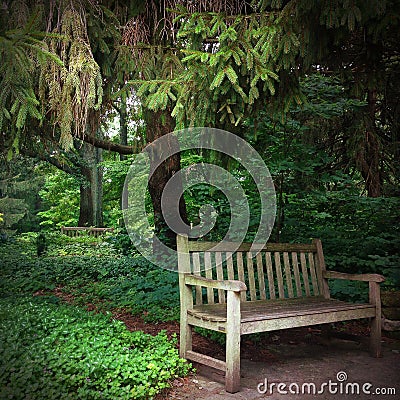 Serene setting park bench in the woods Stock Photo