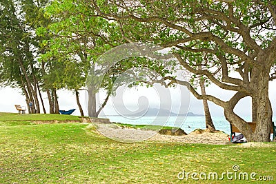 Serene shady beach along beautiful tropical ocean shore Stock Photo
