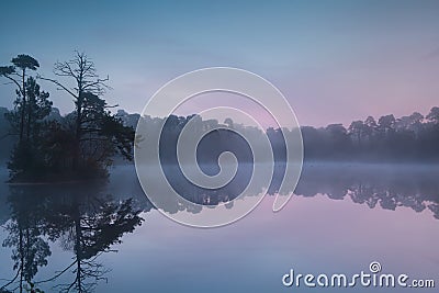 Serene sunrise on forest lake Stock Photo