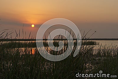 Serene Sunset at the Marsh Stock Photo