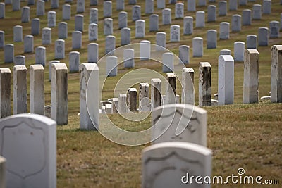 Serene Veterans Cemetery: American Flags Wave as Memorial Celebration Honors Those Who Served Editorial Stock Photo