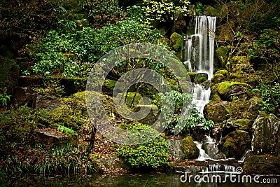 Serene Waterfall at the Portland Japanese Garden Stock Photo