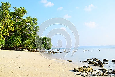 Serene White Sandy Beach with Lush Green Mangroves on Bright Sunny Day - Vijaynagar, Havelock Island, Andaman, India Stock Photo