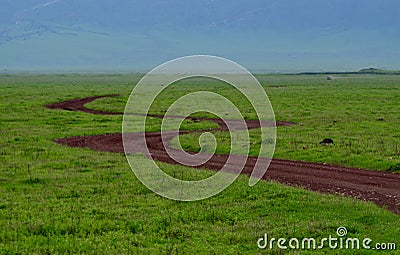 Serengeti Stock Photo