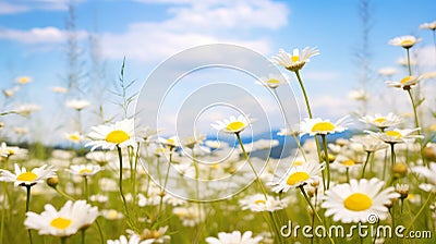 Serenity in Bloom: A Meadow Filled with Daisies and Chamomiles - Generative AI Stock Photo