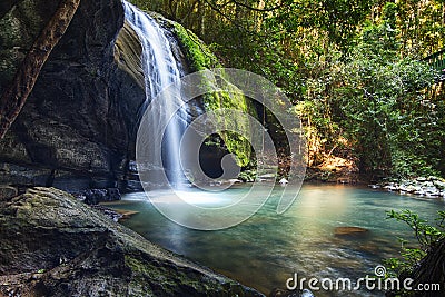 Serenity Falls at Buderim Rainforest Park Stock Photo
