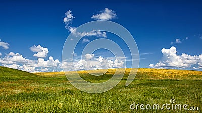 Serenity. Grass vs Sky Stock Photo