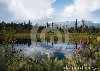 Serenity lake in tundra on Alaska with reflection. Denali highway and denali national park. Mountains in spring. Alaska Stock Photo